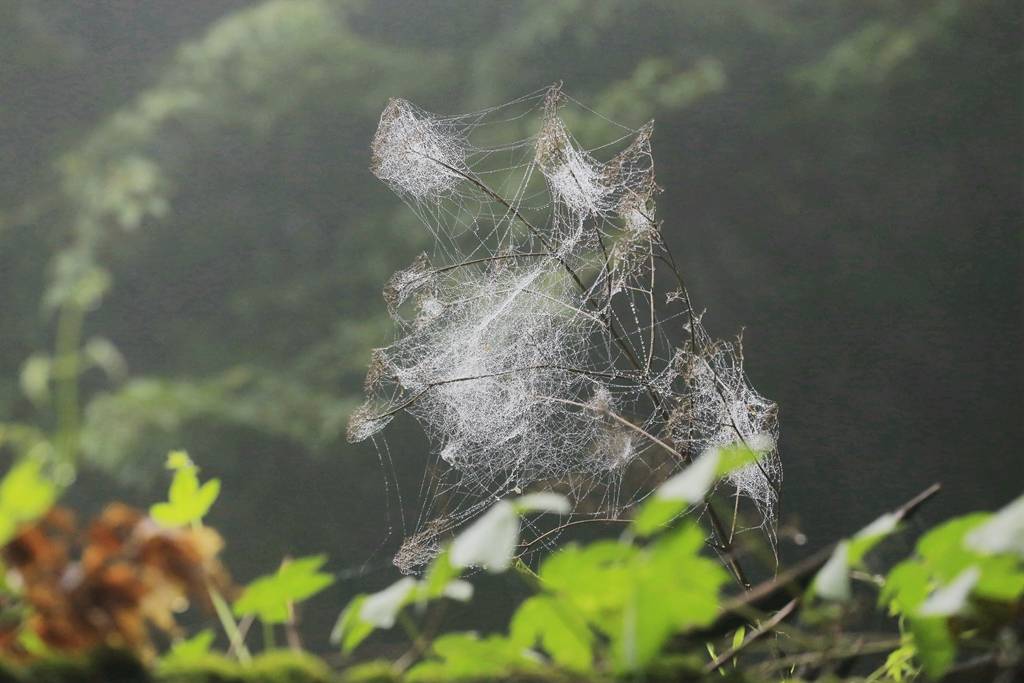 网呀网<strong></p>
<p>火币网</strong>，说不清的网