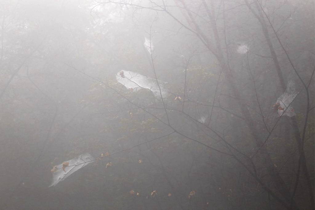 网呀网<strong></p>
<p>火币网</strong>，说不清的网