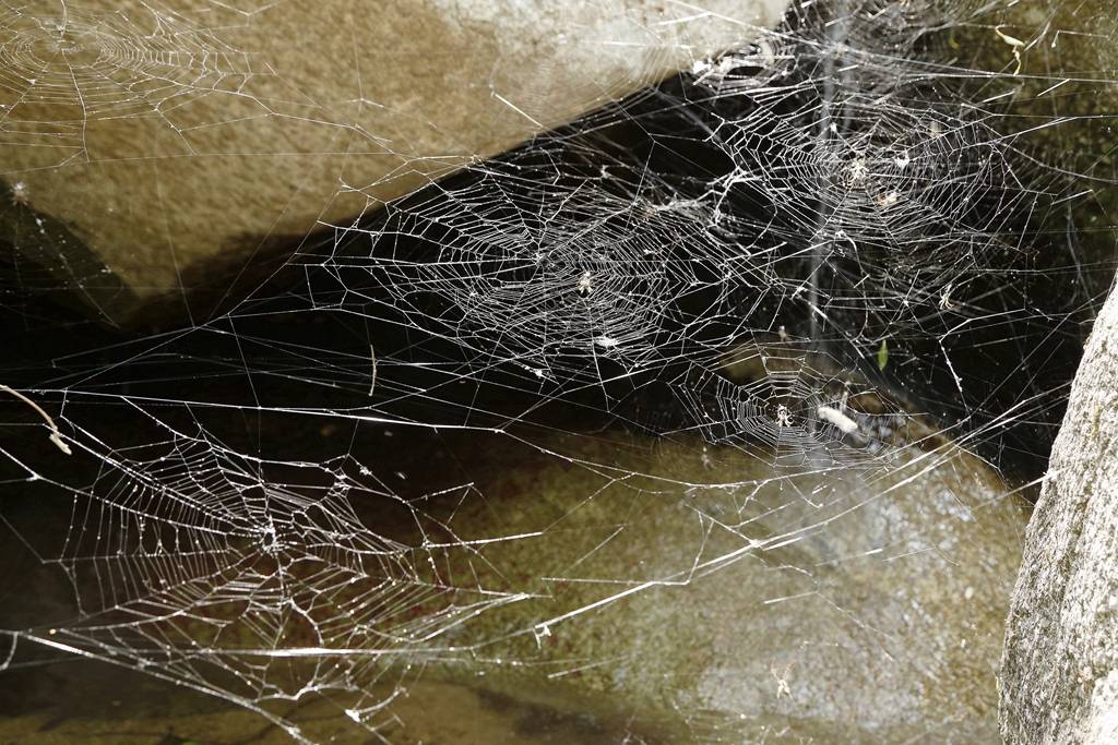 网呀网<strong></p>
<p>火币网</strong>，说不清的网