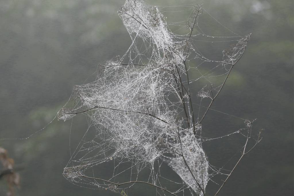 网呀网<strong></p>
<p>火币网</strong>，说不清的网