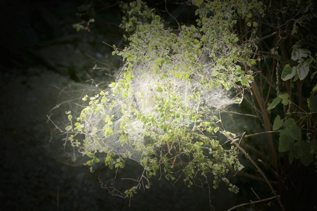 网呀网<strong></p>
<p>火币网</strong>，说不清的网