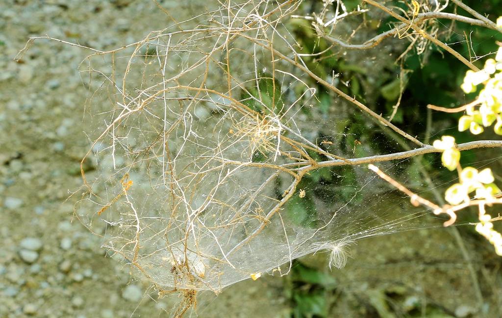 网呀网<strong></p>
<p>火币网</strong>，说不清的网