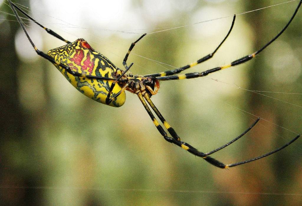 网呀网<strong></p>
<p>火币网</strong>，说不清的网