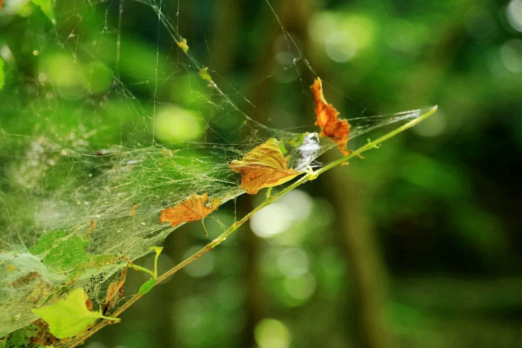 网呀网<strong></p>
<p>火币网</strong>，说不清的网