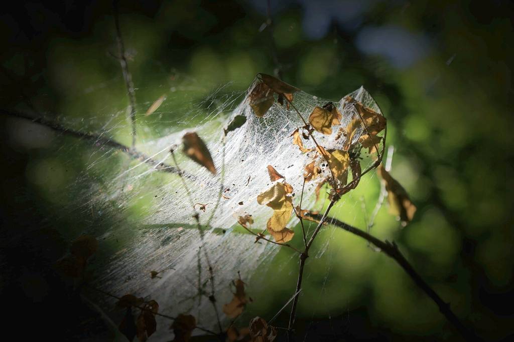 网呀网<strong></p>
<p>火币网</strong>，说不清的网