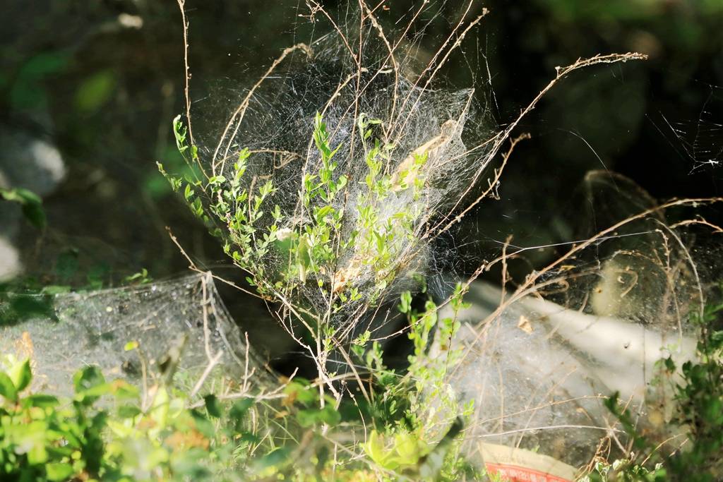 网呀网<strong></p>
<p>火币网</strong>，说不清的网