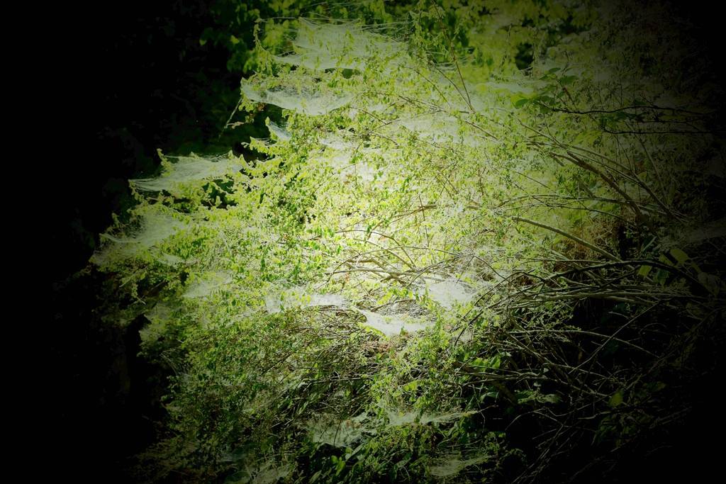 网呀网<strong></p>
<p>火币网</strong>，说不清的网