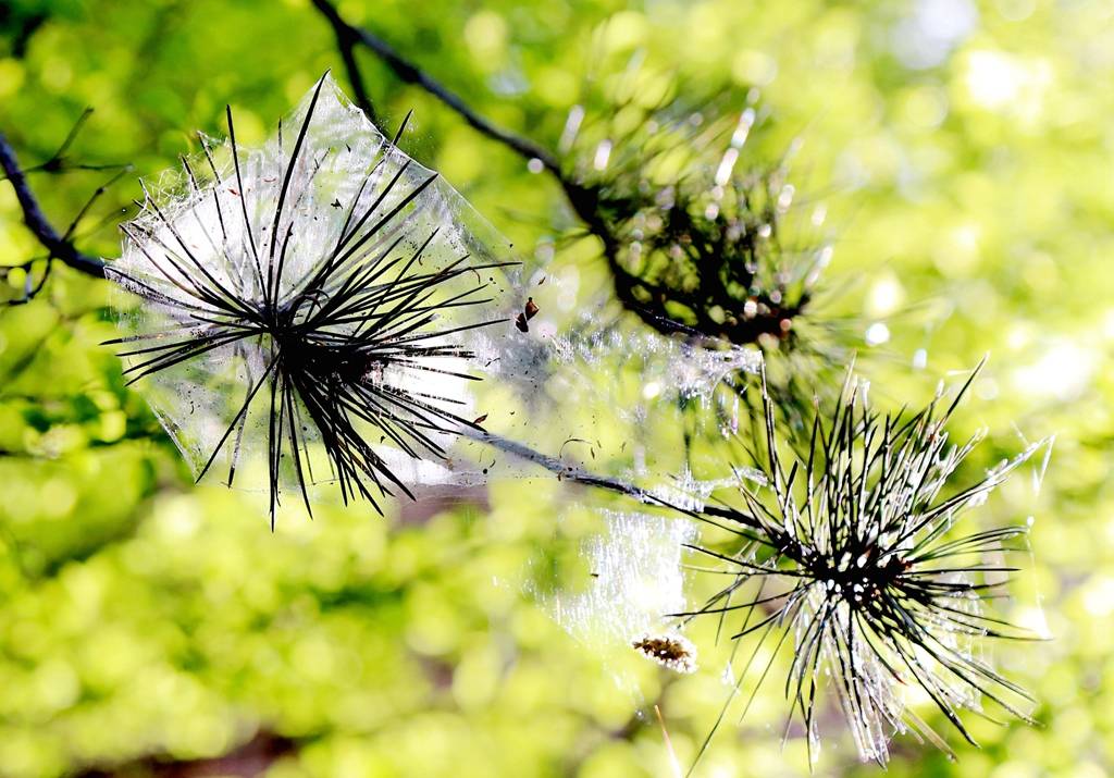 网呀网<strong></p>
<p>火币网</strong>，说不清的网