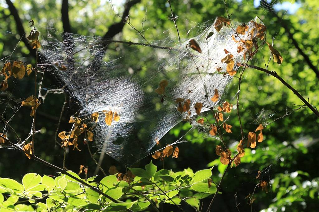 网呀网<strong></p>
<p>火币网</strong>，说不清的网