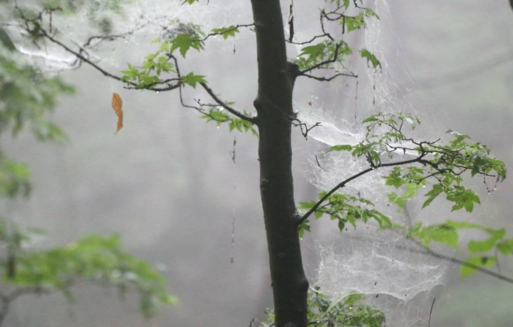 网呀网<strong></p>
<p>火币网</strong>，说不清的网