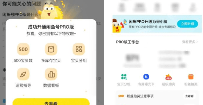 闲鱼鱼小铺与pro区别