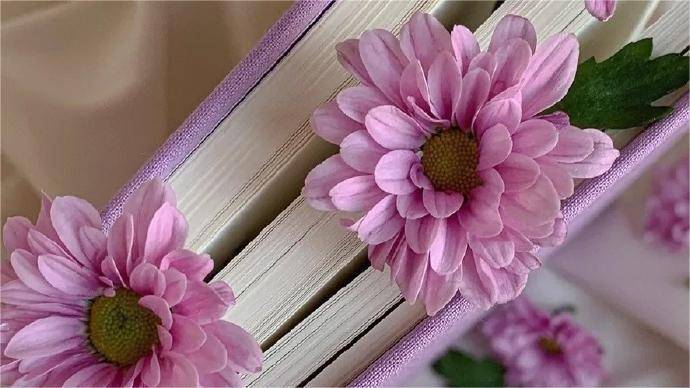 期权合约月份怎么选？