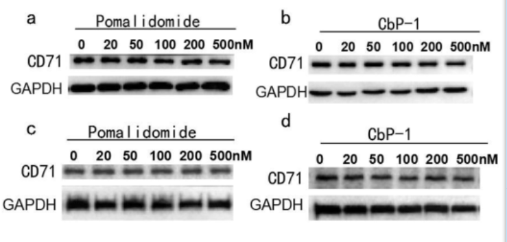 PROTAC化学定制/PROTAC路线设计/PROTAC偶联定制