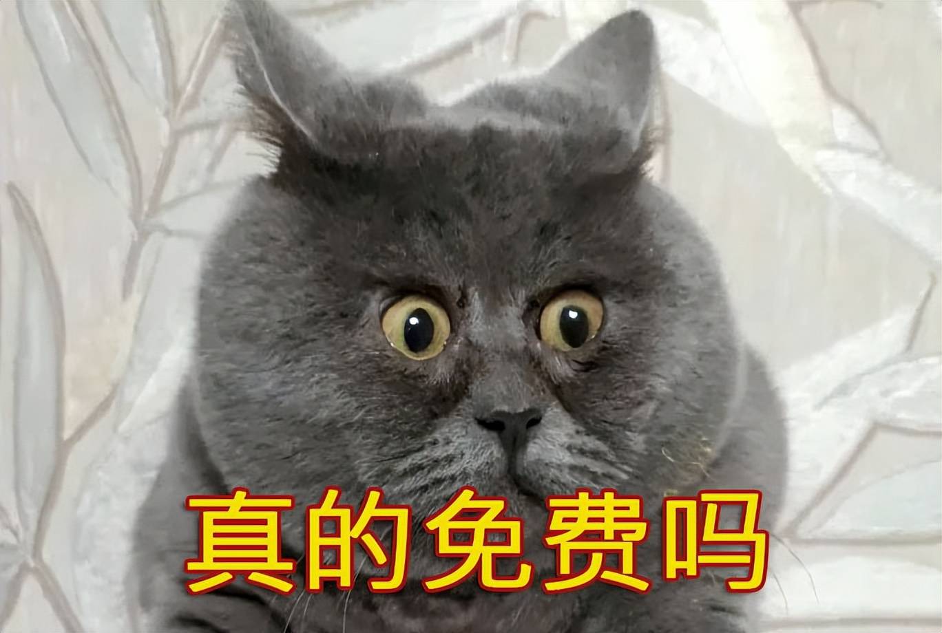 Apifox免费吗<strong></p>
<p>火币api</strong>？一款免费的API管理工具