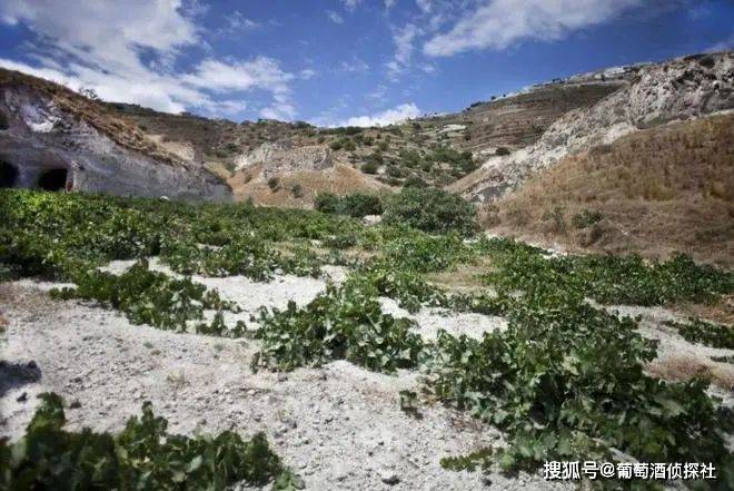 火山土壤的葡萄酒<strong></p>
<p>全球火币网官网</strong>，是种什么味道？盘点全球火山土壤产区