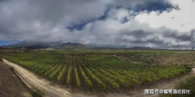 火山土壤的葡萄酒<strong></p>
<p>全球火币网官网</strong>，是种什么味道？盘点全球火山土壤产区