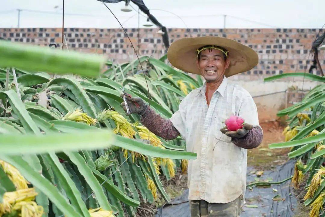 20年巨变<strong></p>
<p>全球火币网官网</strong>，中国成为全球火龙果第一大国！