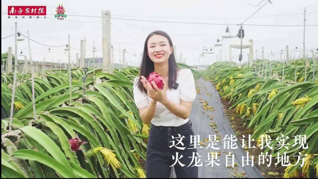 20年巨变<strong></p>
<p>全球火币网官网</strong>，中国成为全球火龙果第一大国！