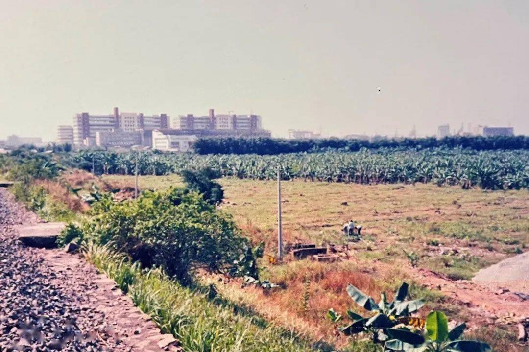 这个地址<strong></p>
<p>火币钱包地址</strong>，你一定见过