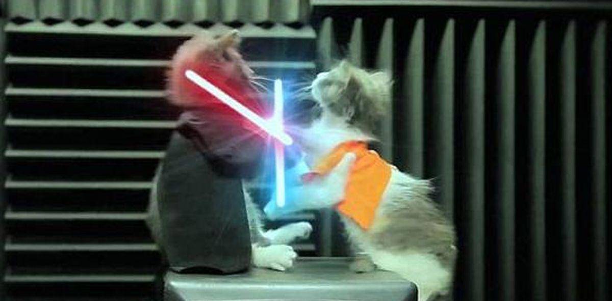 国际版抖音上的网红都有谁<strong></p>
<p>火币网国际版</strong>？他们居然比明星的粉丝还要多