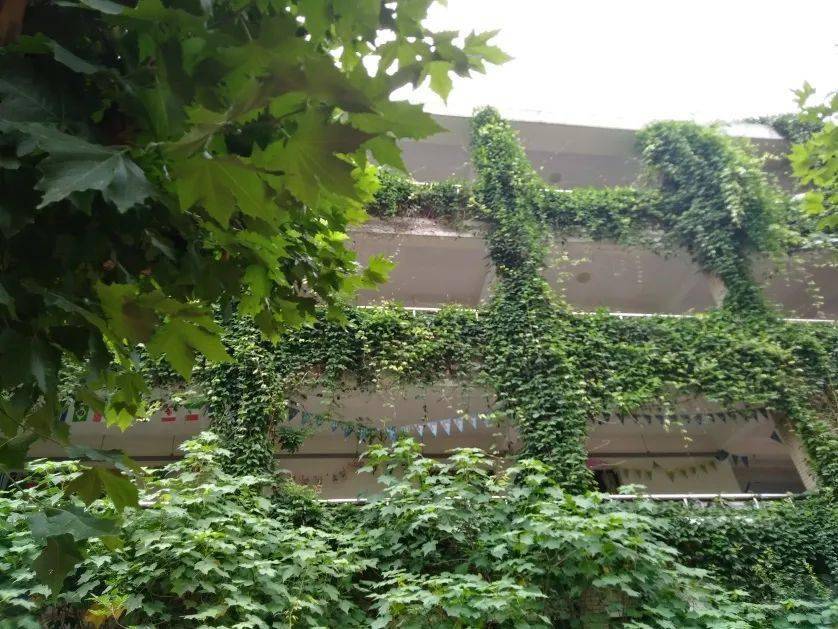 当BNUer回家以后......