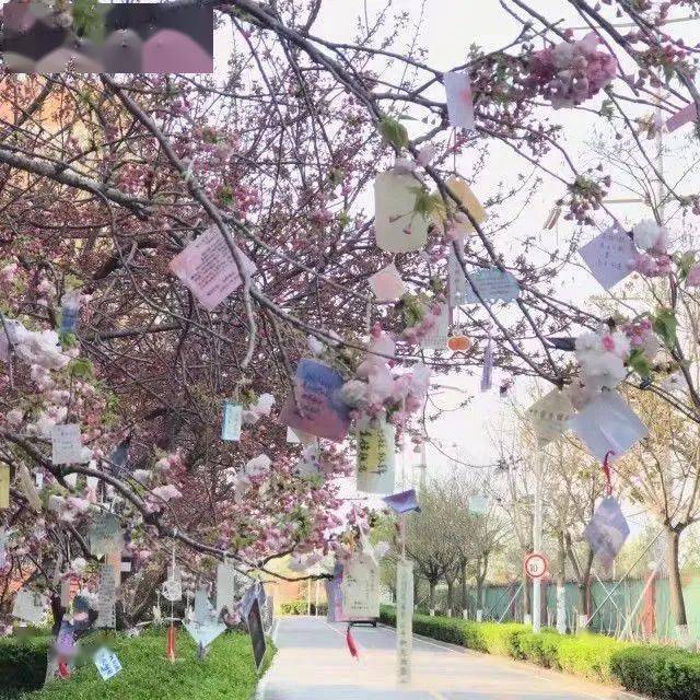 当BNUer回家以后......