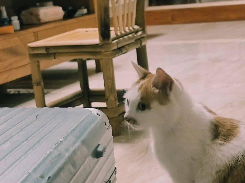 当BNUer回家以后......