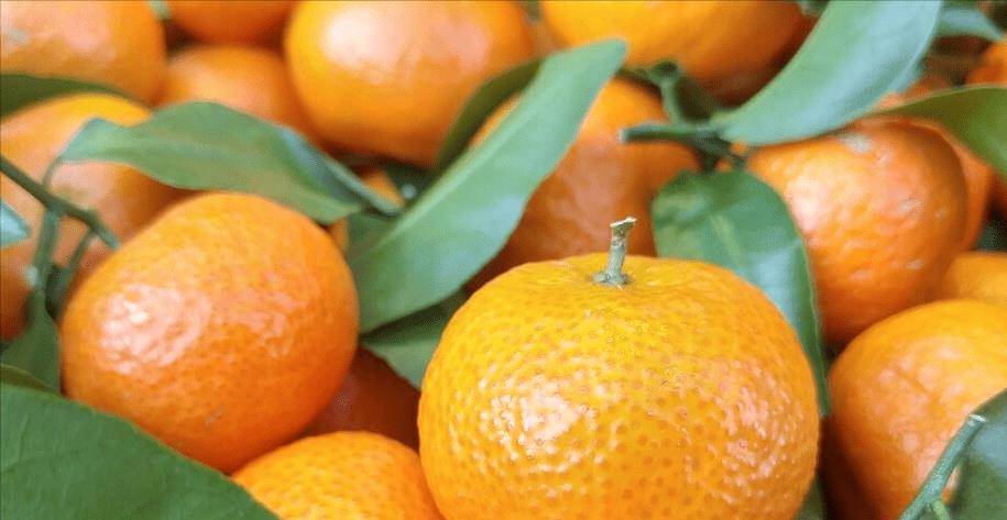 橘子也分公母？“母橘子”更甜？买橘子牢记6字口诀<strong></p>
<p>橘子数字资产</strong>，橘子熟又甜