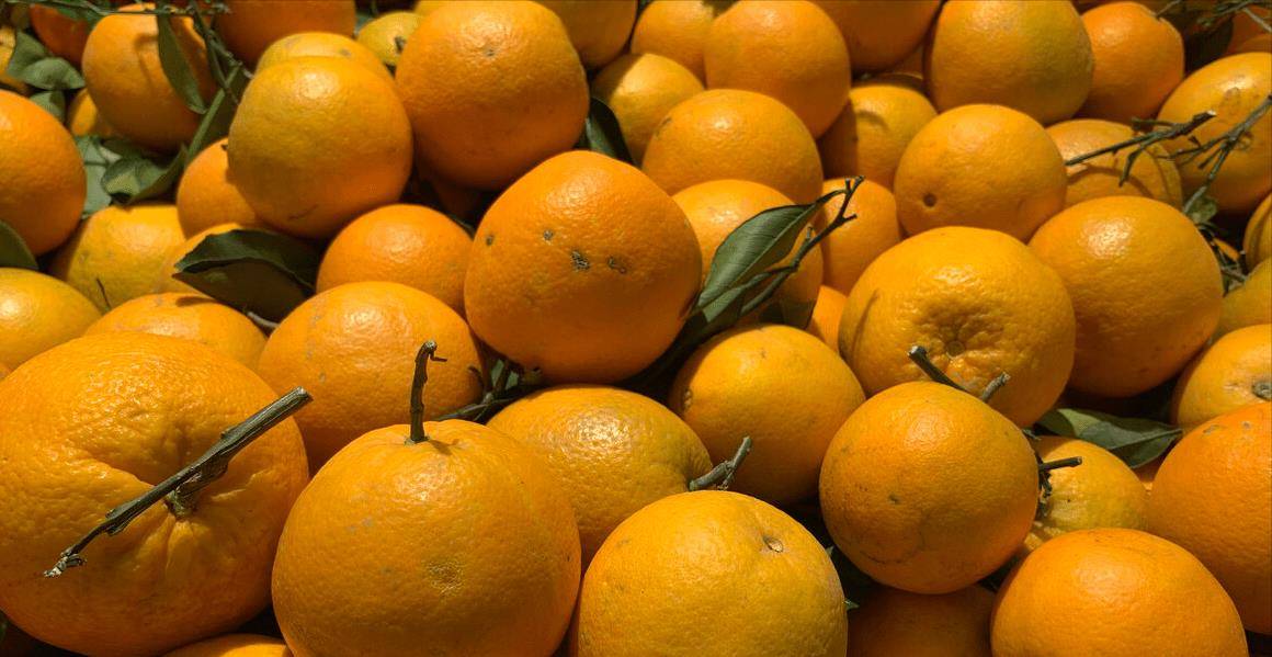 橘子也分公母？“母橘子”更甜？买橘子牢记6字口诀<strong></p>
<p>橘子数字资产</strong>，橘子熟又甜