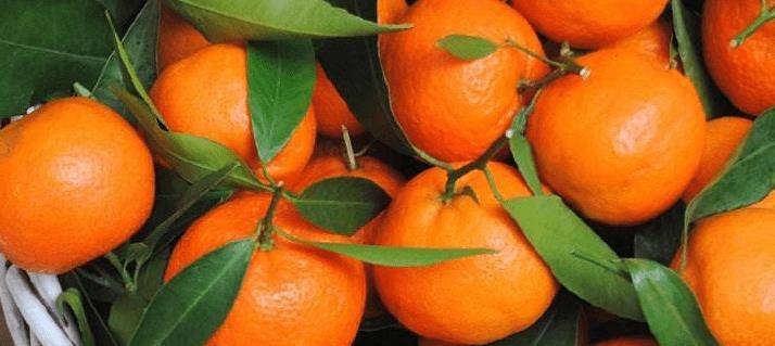 你会吃橘子，那你会挑橘子吗？2方面对了才能挑到甜橘子