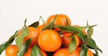 橘子大量上市！教你一招挑母橘子<strong></p>
<p>橘子数字资产</strong>，包你每次都能买到最甜的橘子