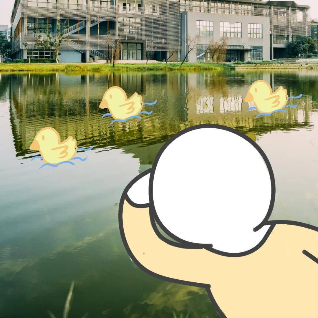 返校后的状态be like：