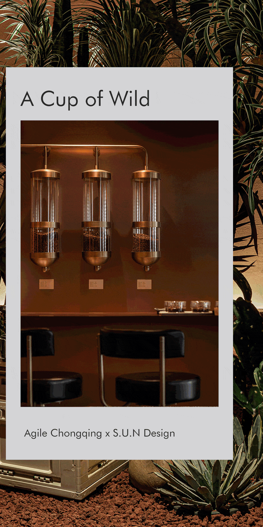 DINZ德网 | 雅居乐×S.U.N · 城市客厅中的一片沙漠绿洲