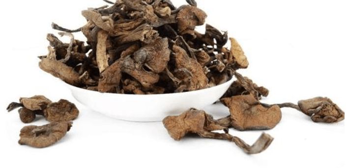 蘑菇界的药材<strong></p>
<p>币界</strong>，药材界的美食