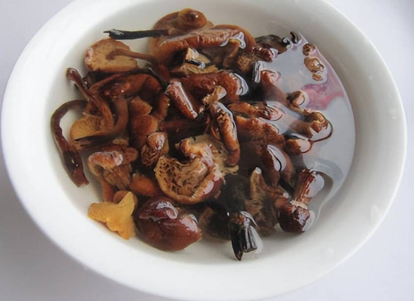 蘑菇界的药材<strong></p>
<p>币界</strong>，药材界的美食