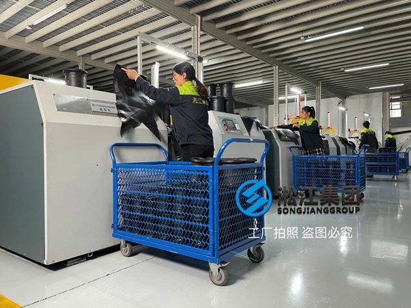 大庆市DY-BX箱式管网叠压供水机组橡胶软管