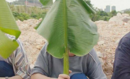 披着游戏皮的悬疑片<strong></p>
<p>1COIN</strong>，《穿越火线》中段高燃，编剧说目前算中能