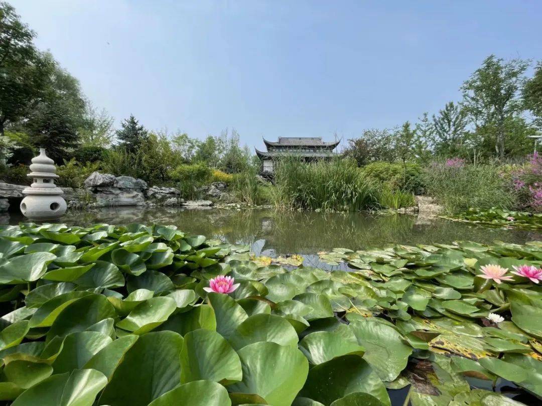 【乐嘉·夏令营】乐嘉体育延庆定向夏令营第二期Day4