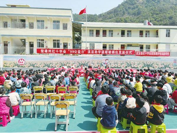 楚雄州红十字会：爱心捐赠情暖校园