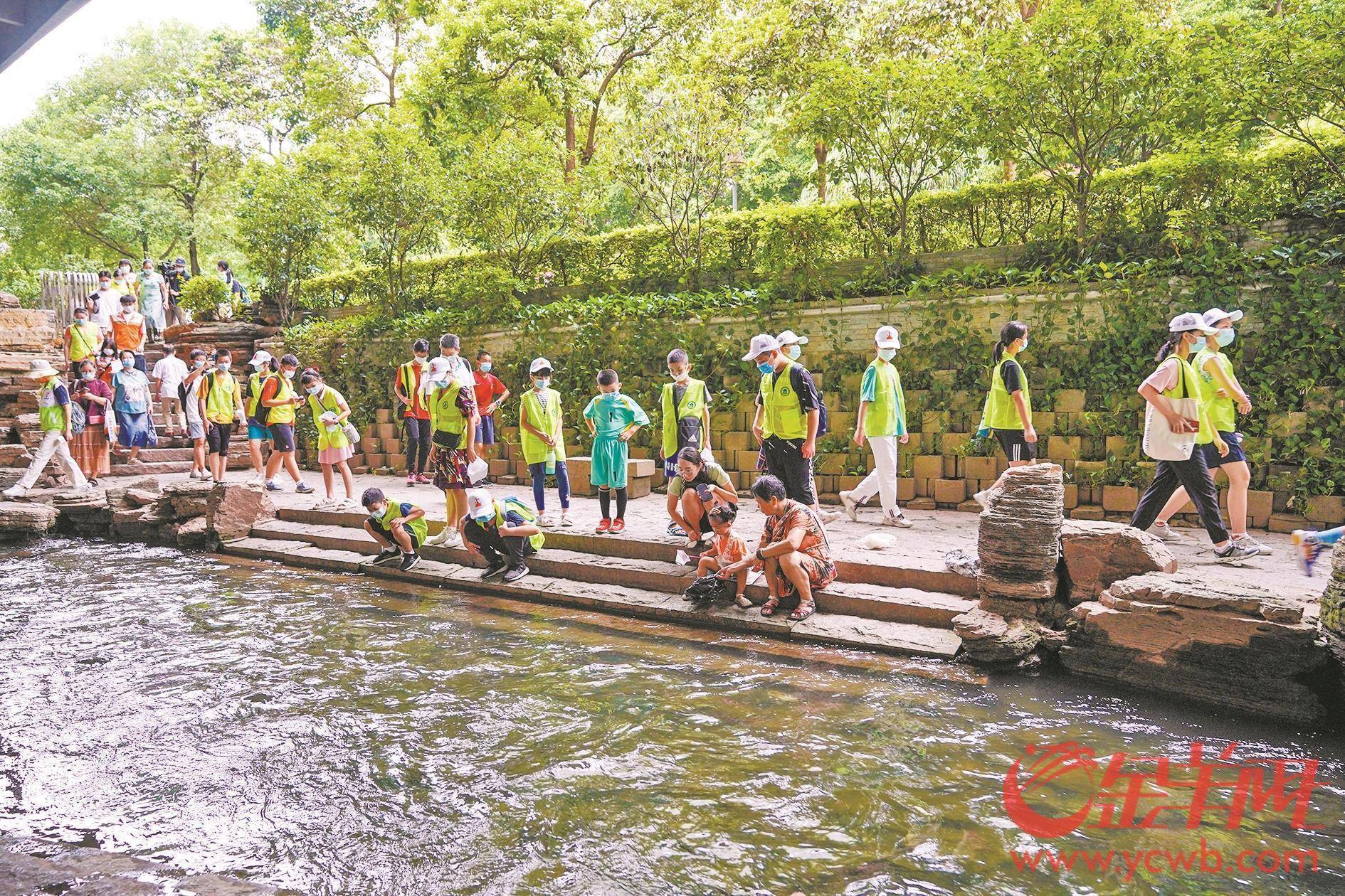 广州：牢记嘱托感恩奋进 赓续血脉老城焕新