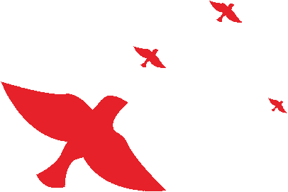 人社部公布《社会保险基金监督举报工作管理办法》