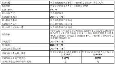华安基金管理有限公司 关于华安中证全指证券公司指数型证券投资基金基金份额持有人大会表决结果暨决议生效的公告