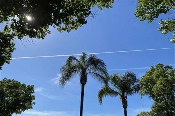 球星C罗为币安代言遭索赔10亿美元 机构预计澳储行2025年前难降息 澳住宅批建量见底 中国国家能源集团原副总李东被提起公诉