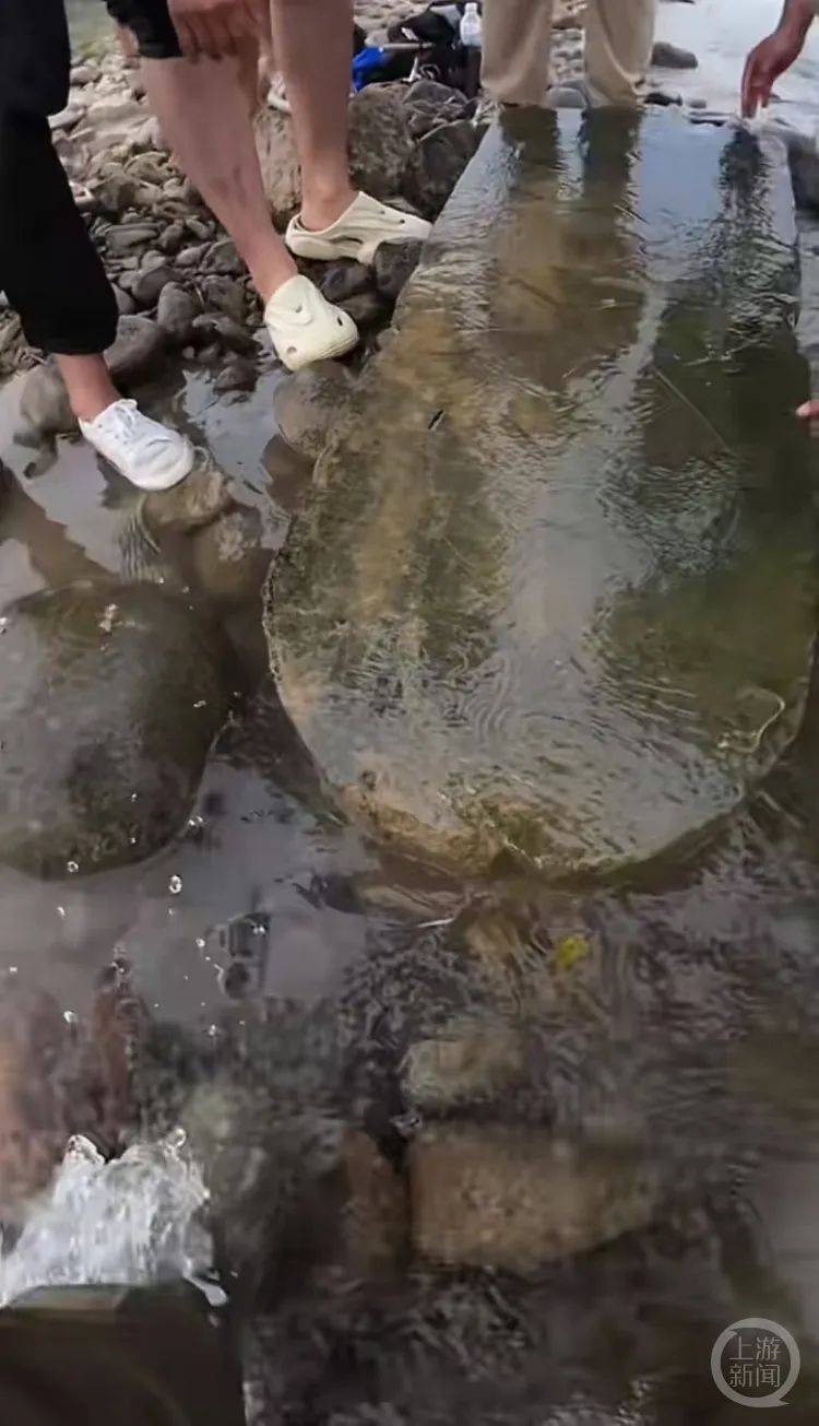 “当时就无心钓鱼了<strong></p>
<p>otc789交易平台</strong>！”河南钓友在洛阳附近“钓”到古碑？文保部门回应