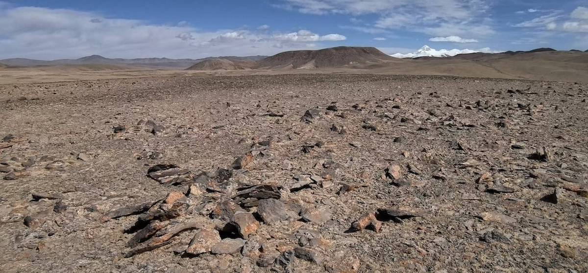 “亚洲水塔”留不住水了<strong></p>
<p>西安市诚信平台交易中心</strong>？