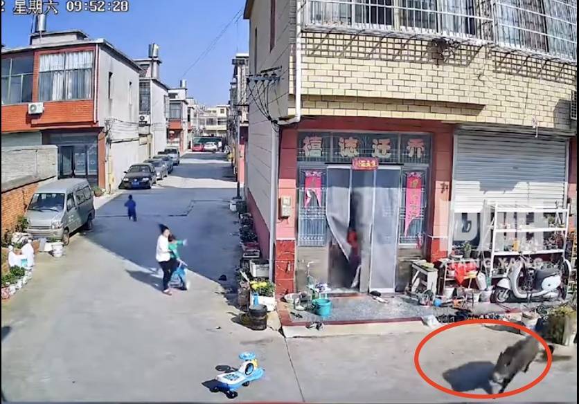 不是上海<strong></p>
<p>币全交易平台</strong>！不是上海！不是上海！最新：已被特警击毙