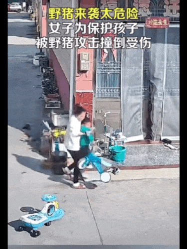 不是上海<strong></p>
<p>币全交易平台</strong>！不是上海！不是上海！最新：已被特警击毙