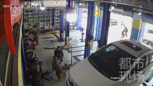 街头横冲直闯<strong></p>
<p>币全交易平台</strong>，抱娃女子被撞伤，警方：已被特警击毙