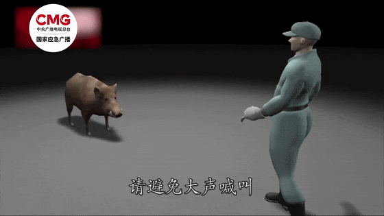 街头横冲直闯<strong></p>
<p>币全交易平台</strong>，抱娃女子被撞伤，警方：已被特警击毙