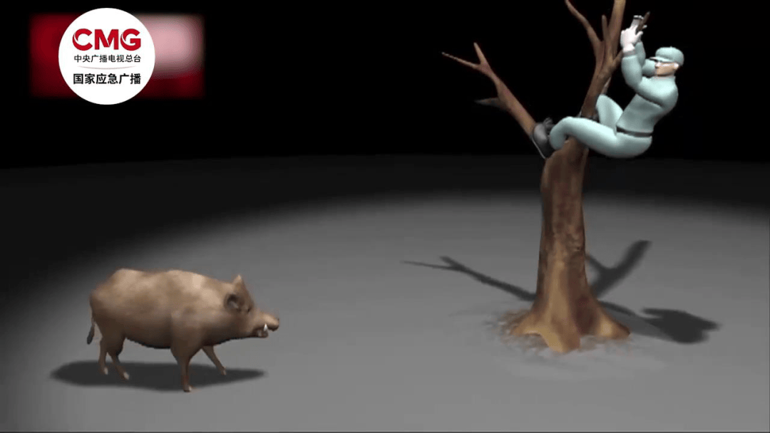 街头横冲直闯<strong></p>
<p>币全交易平台</strong>，抱娃女子被撞伤，警方：已被特警击毙